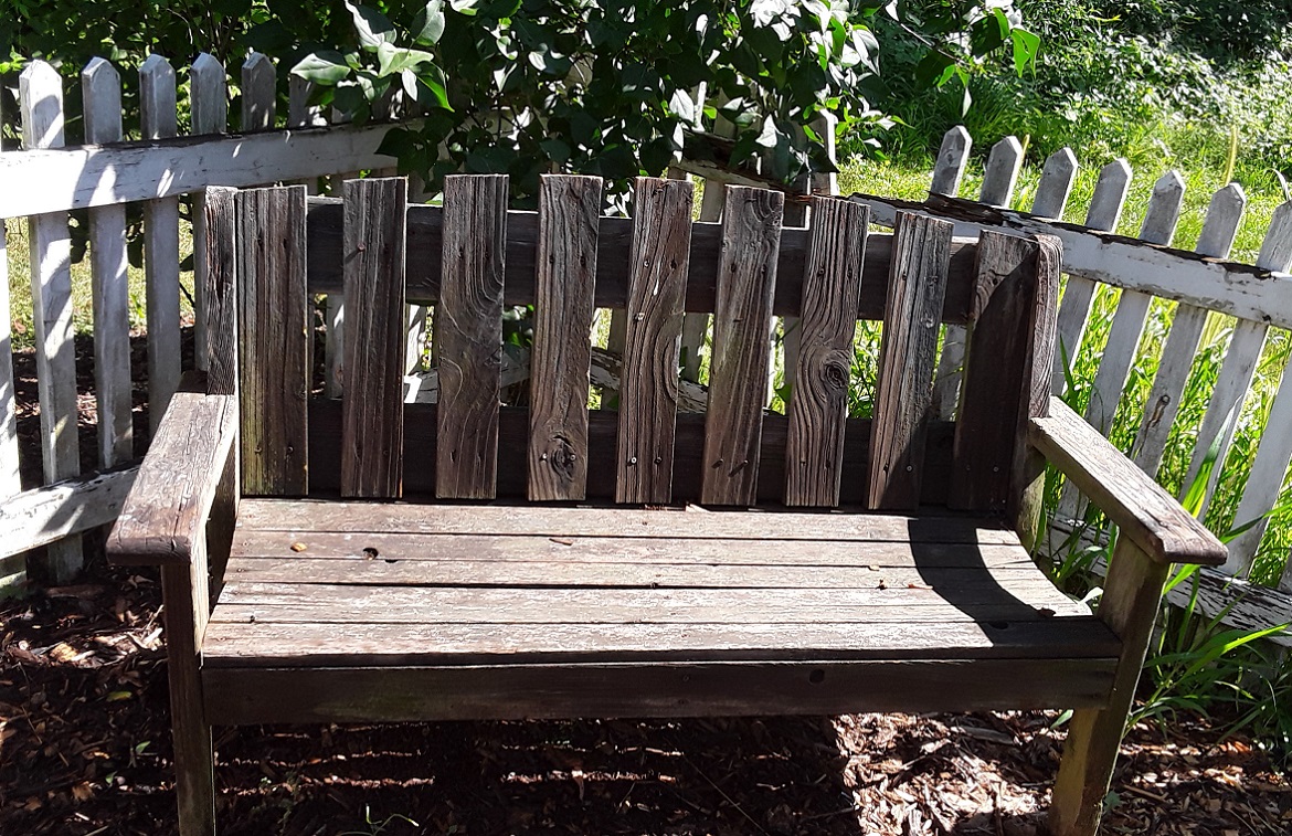 Post Image: Late Summer Garden News