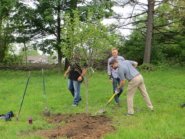 volunteer image
