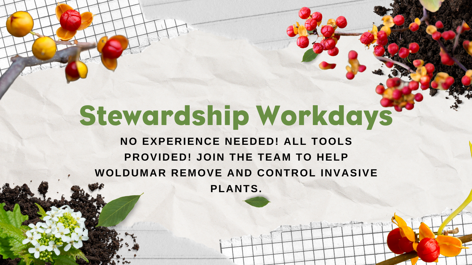 Stewardship Workdays for Invasive Plant Removal